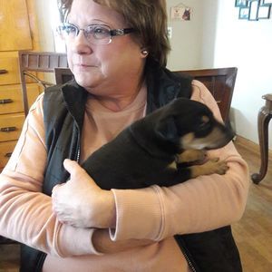 Meet your Posher, Margaret